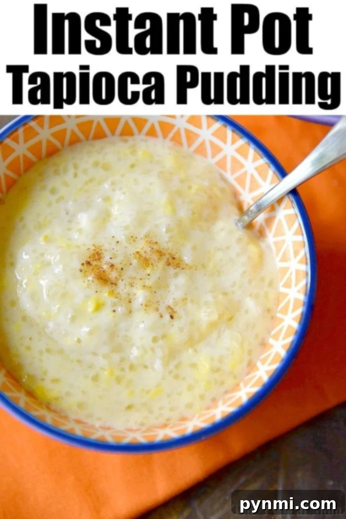 Perfectly Cooked Instant Pot Tapioca Pudding A close-up shot of Instant Pot tapioca pudding in a bowl, garnished with cinnamon.