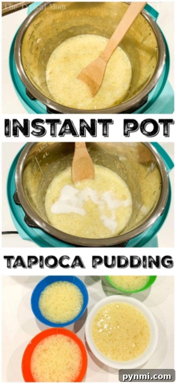 Close-up of Instant Pot Tapioca Pudding Instant Pot tapioca pudding recipe with a spoon, showing its thick and creamy texture.