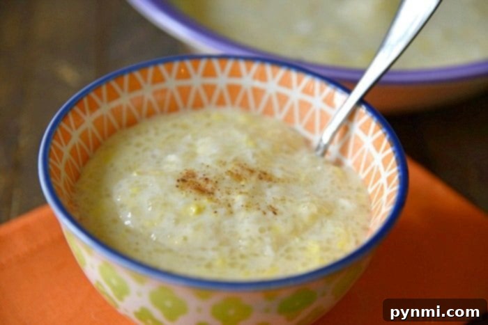 Delicious Pressure Cooker Tapioca Pudding Pressure cooker tapioca pudding with a garnish of cinnamon, ready for serving.