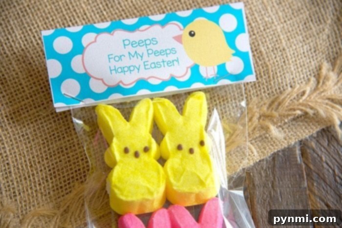 Free Easter treat bags and bag toppers printable to make these! Really cute and inexpensive to make, perfect school treats to pass out for kids. Close-up of Easter treat bag toppers with festive designs.