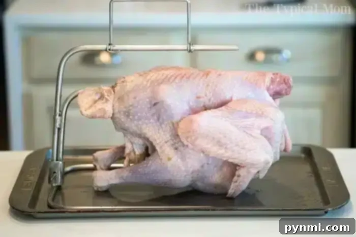 Classic Pepperidge Farm Sausage Stuffing 2 A raw turkey is positioned on a black roasting pan, supported by a metal stand, ready for Pickford stuffing. It rests on a kitchen countertop with a blurred white cabinet in the background.