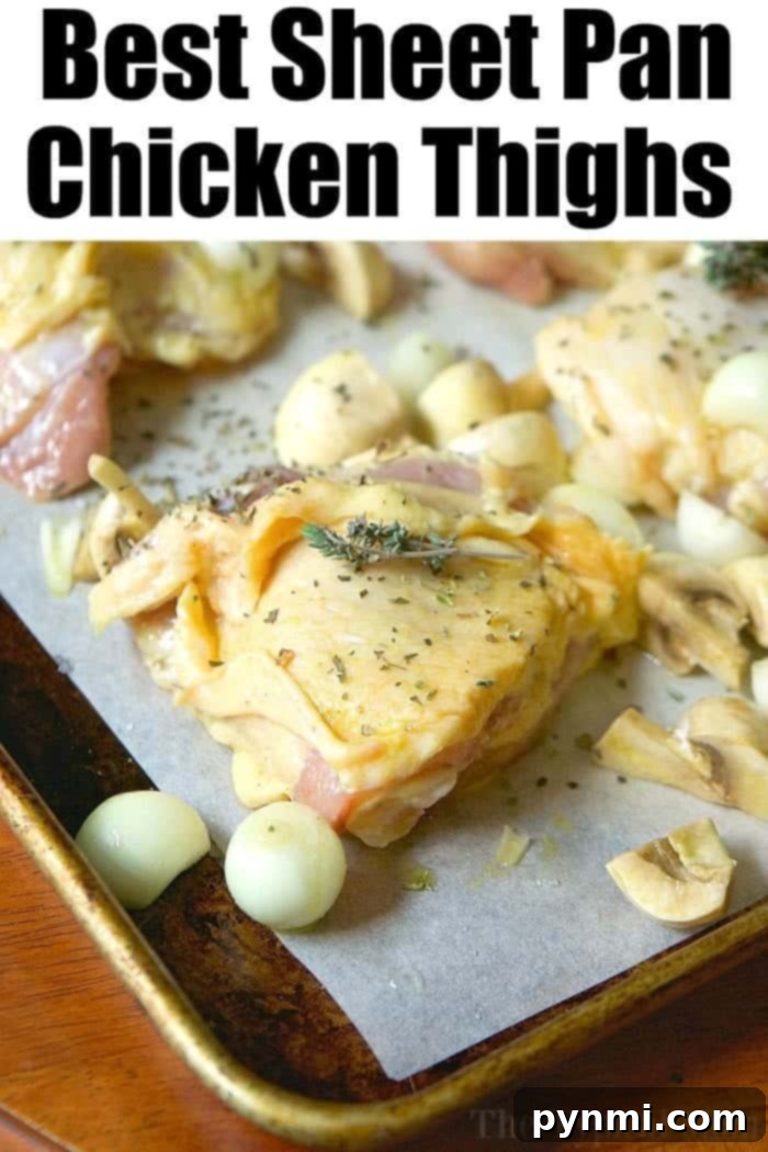 How to bake chicken thighs in oven, featuring a sheet pan with seasoned chicken and vegetables.