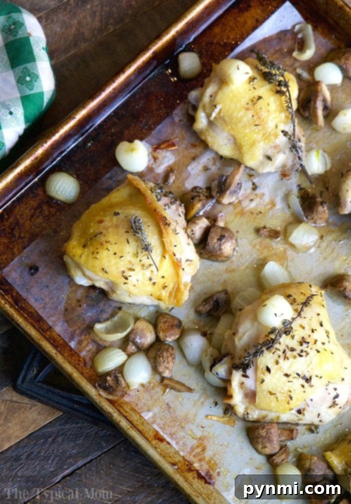 Close-up of perfectly browned oven baked chicken thighs with herbs.