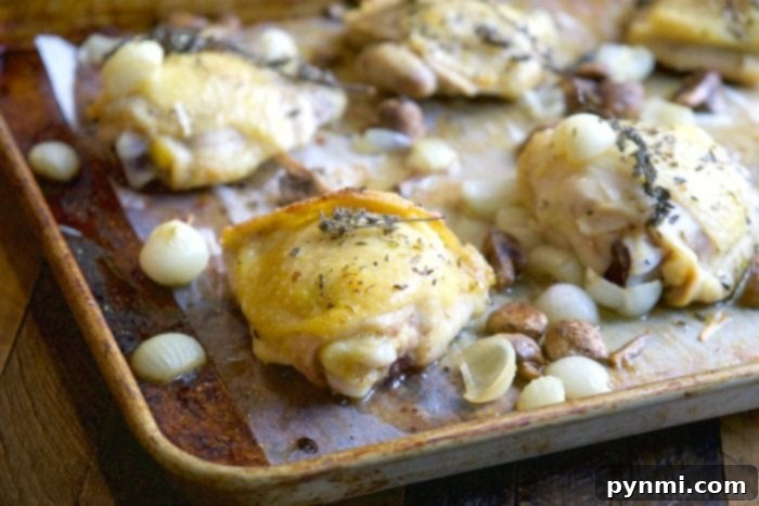 Easy chicken thigh recipe with roasted vegetables on a baking sheet.