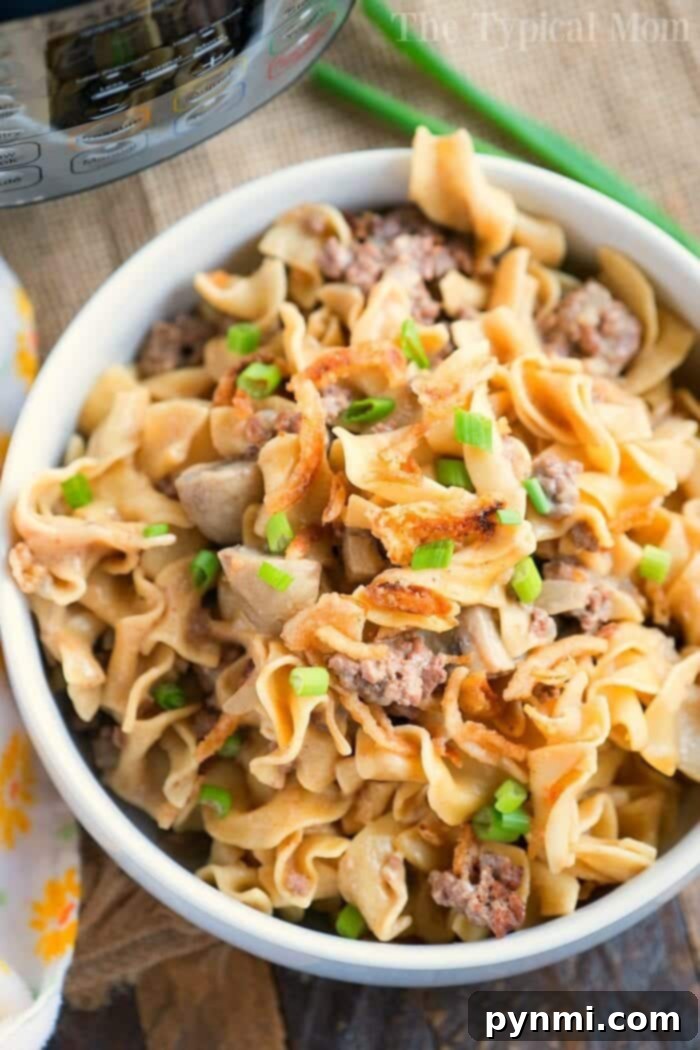 Pressure cooker stroganoff casserole with ground beef, served with fresh parsley garnish.