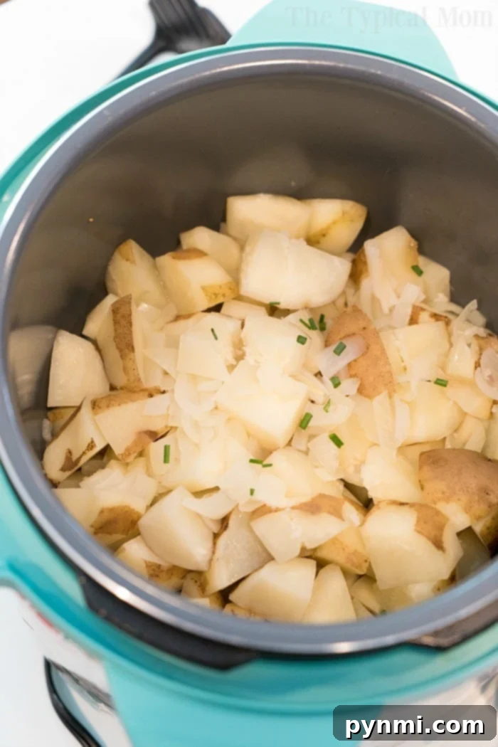 Pressure Cooker Mashed Potatoes - Initial Prep Chopped potatoes and onions gently cooking in a teal slow cooker, releasing a comforting aroma. This scene evokes the initial preparation stages of pressure cooker mashed potatoes.