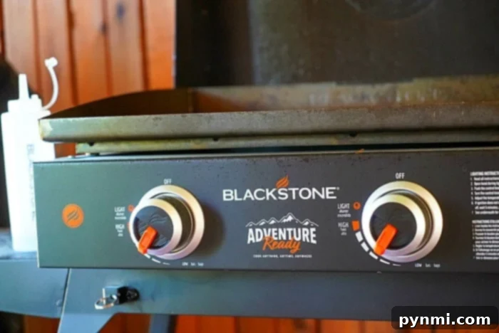 blackstone griddle for camping meals
