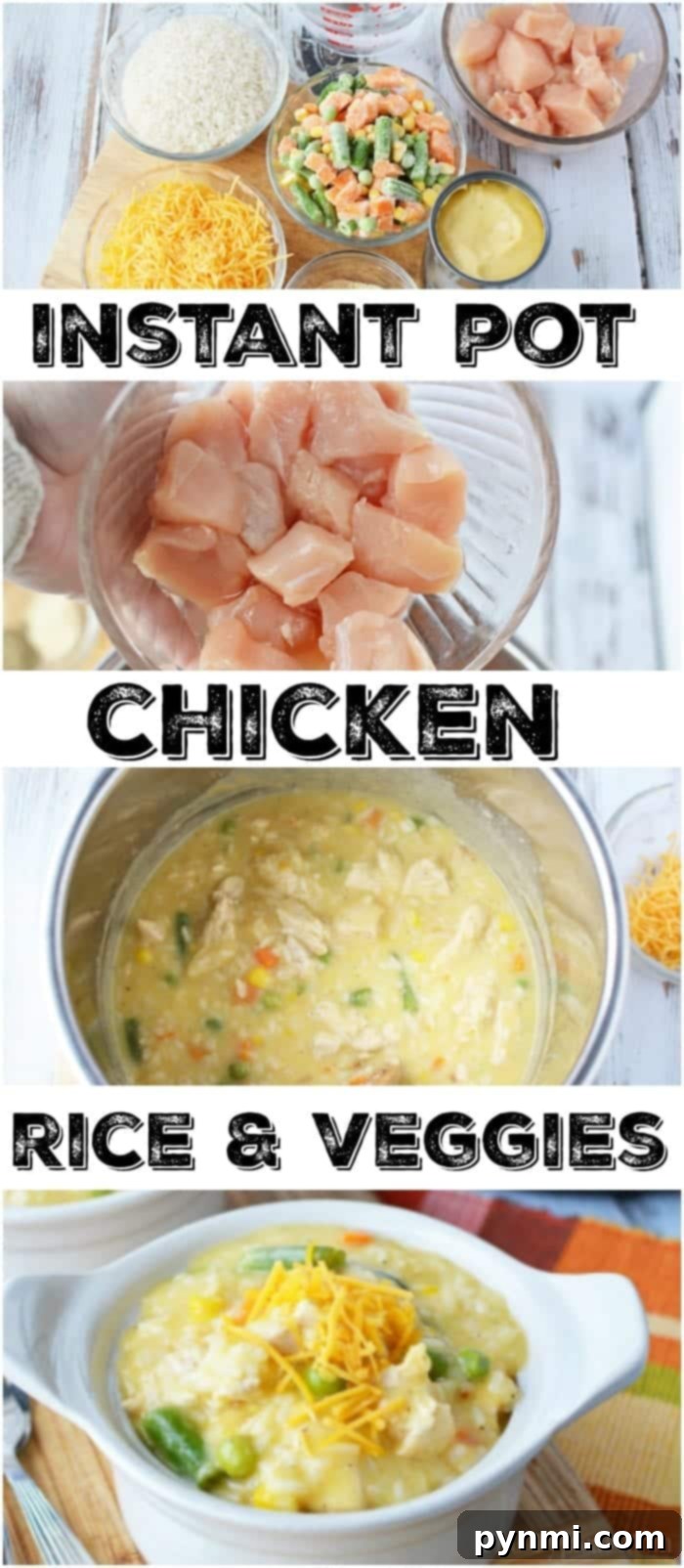 Pressure Cooker Chicken and Rice 5