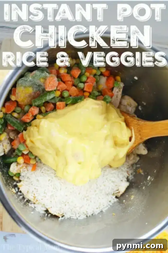 instant pot chicken and rice frozen chicken