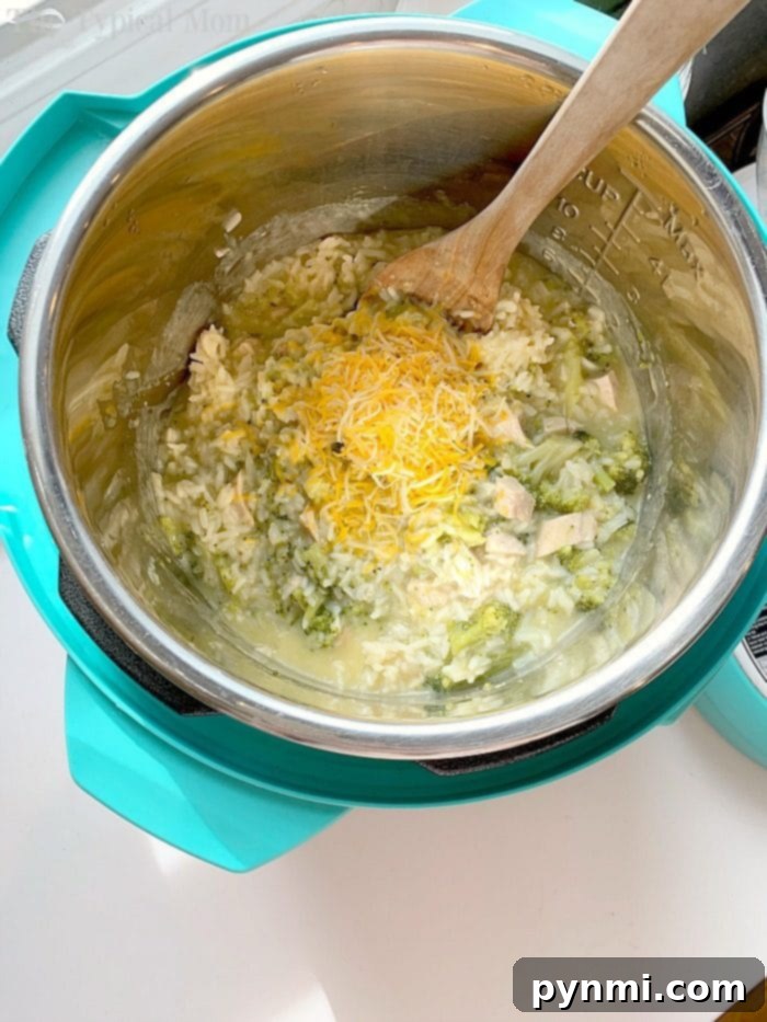 pressure cooker chicken and rice