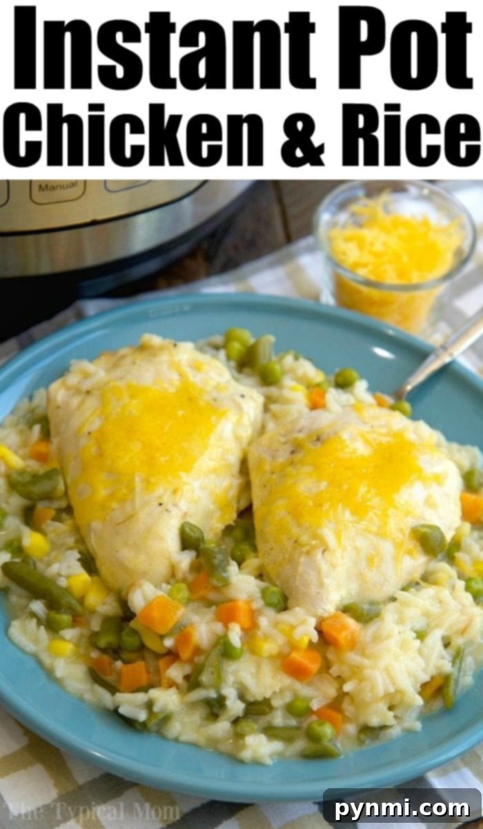 instant pot chicken and rice