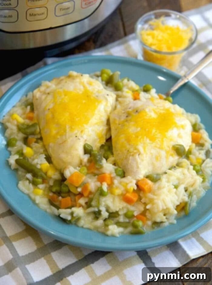 pressure-cooker-chicken-and-rice
