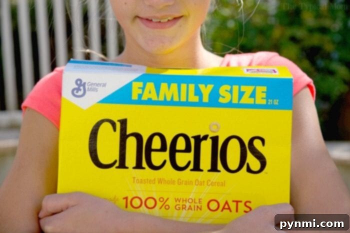 Cheerios recipes for healthy snacks