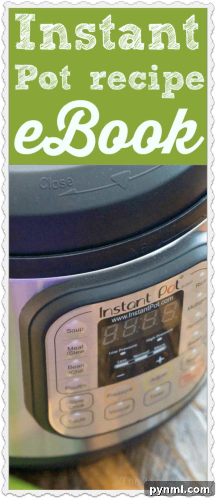instant pot recipes ebook