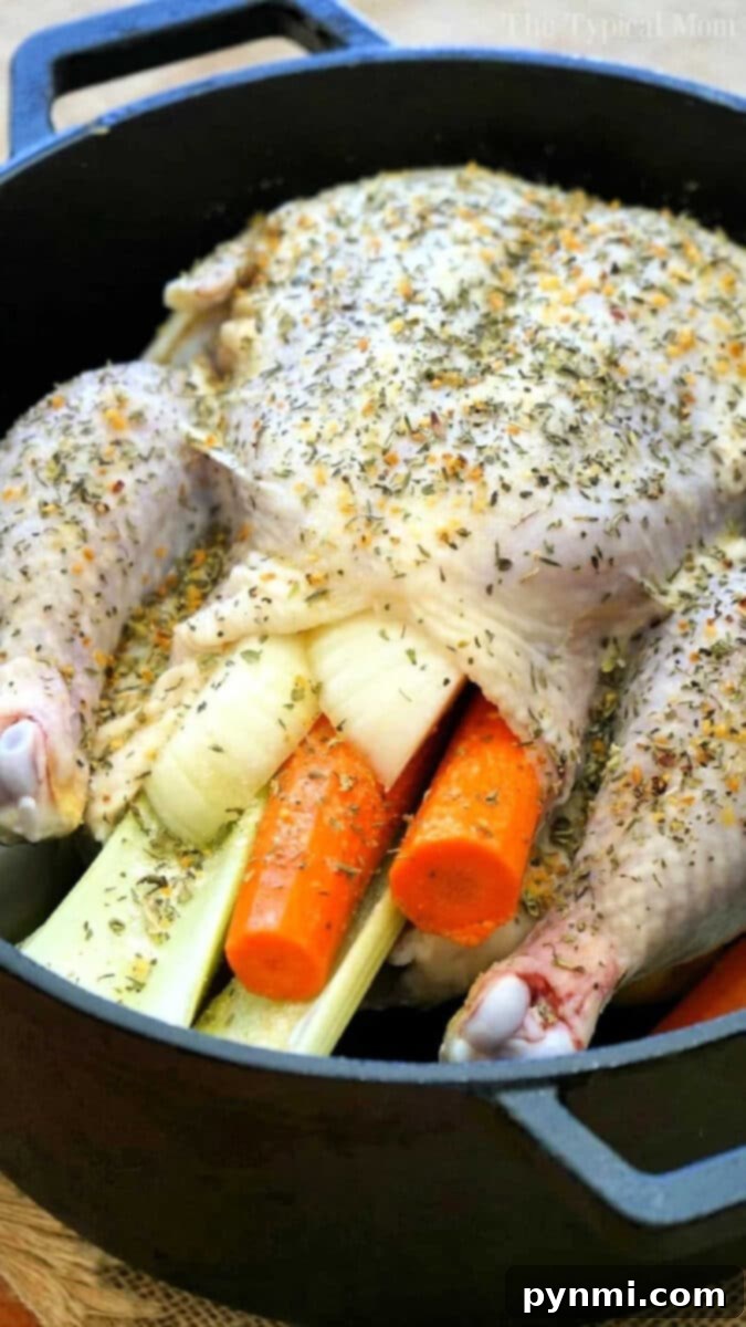 Herb-Seasoned Whole Chicken in Dutch Oven A beautifully prepared whole chicken, generously coated in herbs and spices, nestled into a Dutch oven with vibrant chunks of carrots and celery, ready for roasting to become a tender, succulent meal.