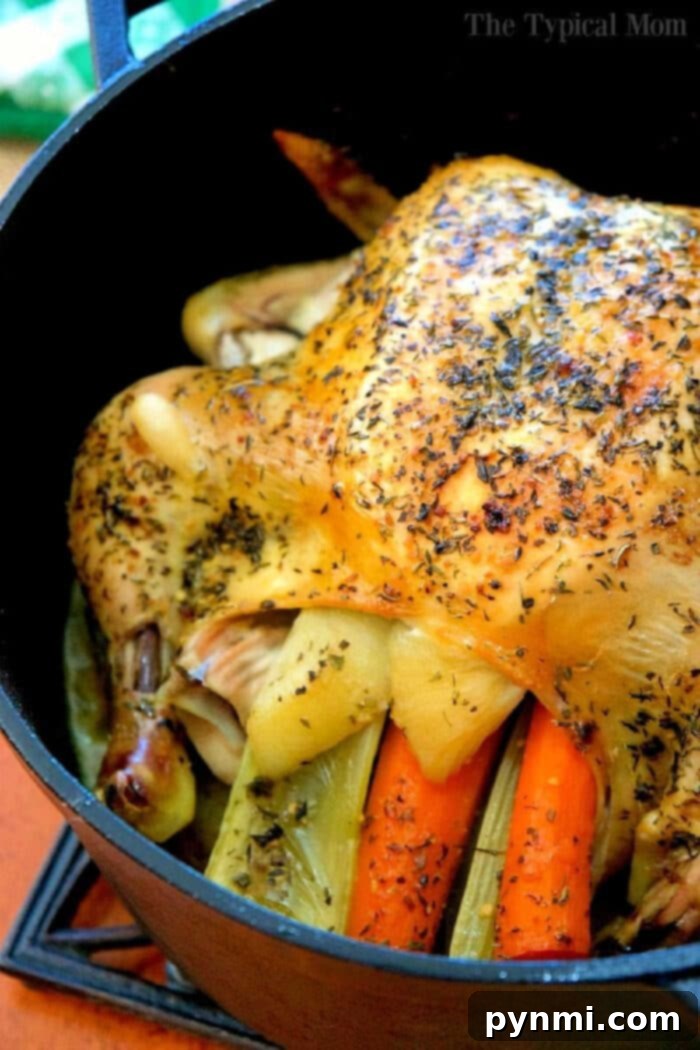 Golden Roast Chicken with Potato Trivet A perfectly cooked whole chicken in a Dutch oven, surrounded by tender, golden-brown potatoes and roasted vegetables, showcasing a complete and delicious meal ready for carving.
