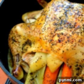 A beautifully roasted Dutch oven whole chicken, tender and juicy, surrounded by aromatic herbs and wholesome vegetables, perfect for a comforting and flavorful meal.
