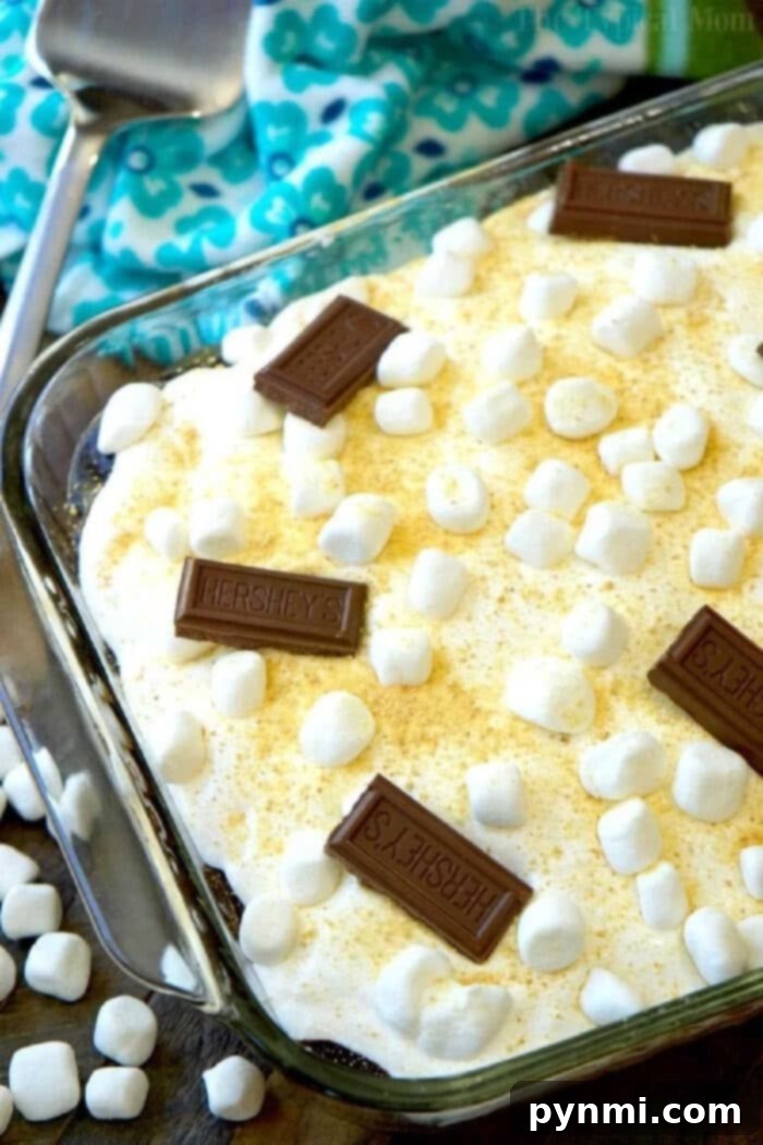 Delicious S'mores Poke Cake with a side scoop, showcasing its moist interior.