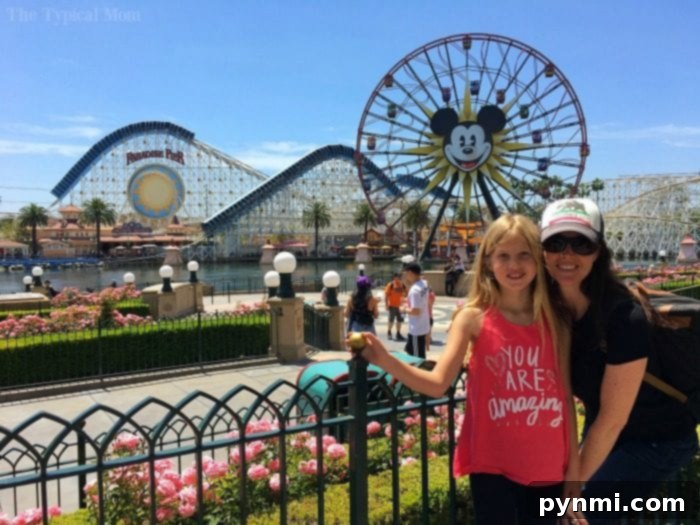 The Typical Mom Blog for Disneyland tips