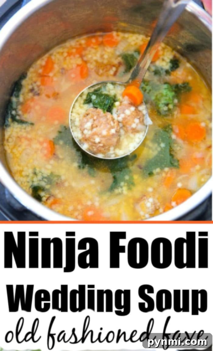 Effortless Instant Pot Italian Wedding Soup 6 A close-up of Ninja Foodi Italian Wedding Soup, rich with pasta and vegetables.