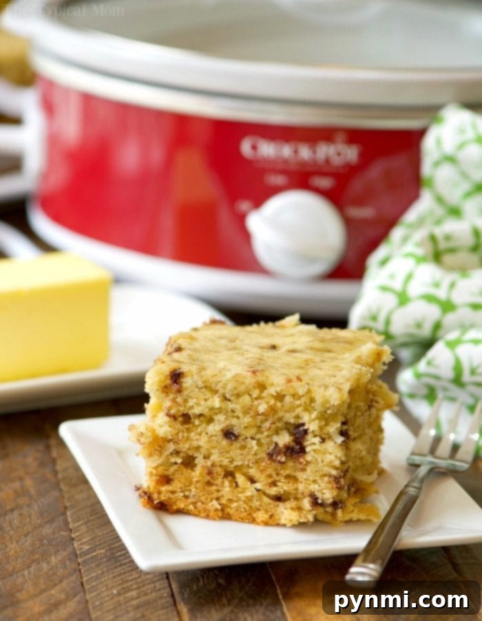 Slow cooker chocolate chip banana bread