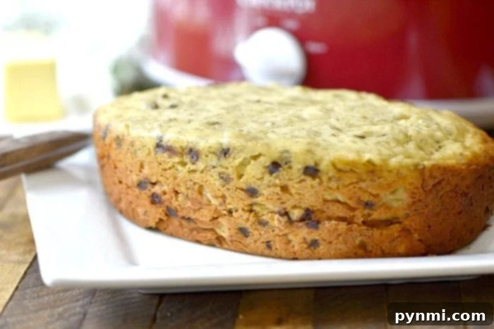 Slow cooker chocolate chip banana bread