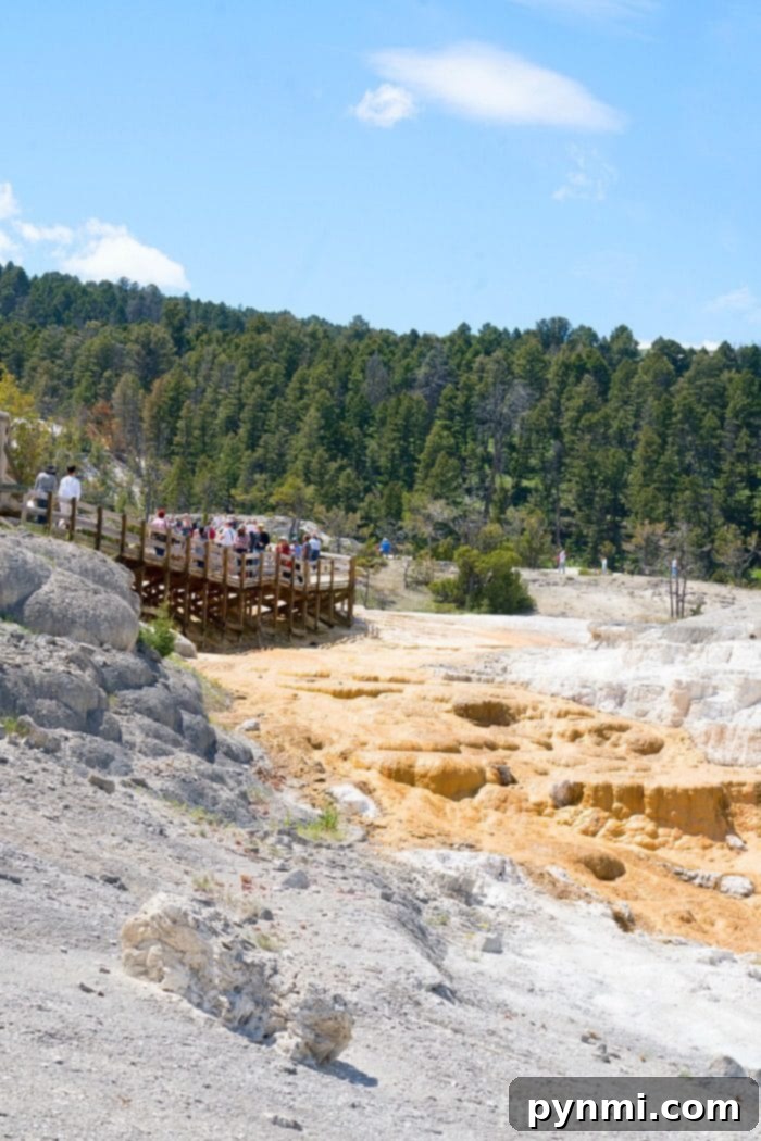 Budget-Friendly National Park Adventures 5 The vibrant geothermal features of Yellowstone National Park, showcasing natural beauty