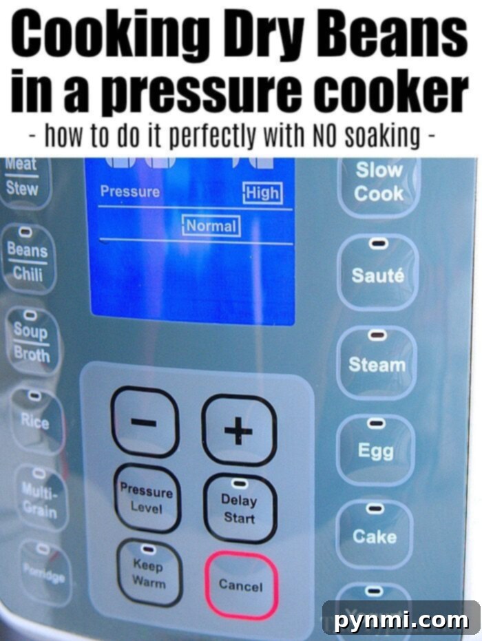 Speedy Instant Pot Baked Beans 2 Cooking Beans in a Pressure Cooker