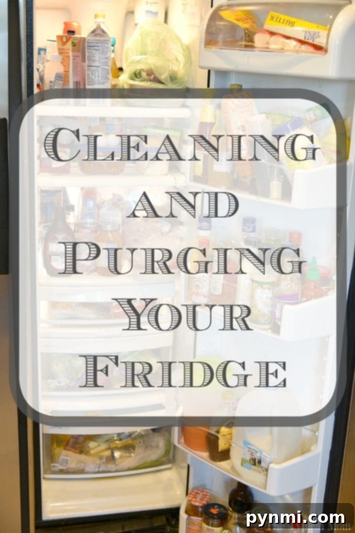 Cleaning and Organizing Your Refrigerator for Summer