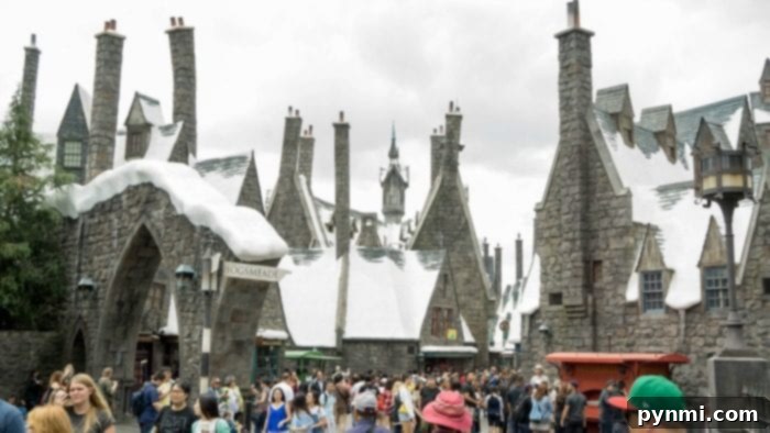 Visitors enjoying the enchanting atmosphere and interactive wand experiences in Hogsmeade Village.