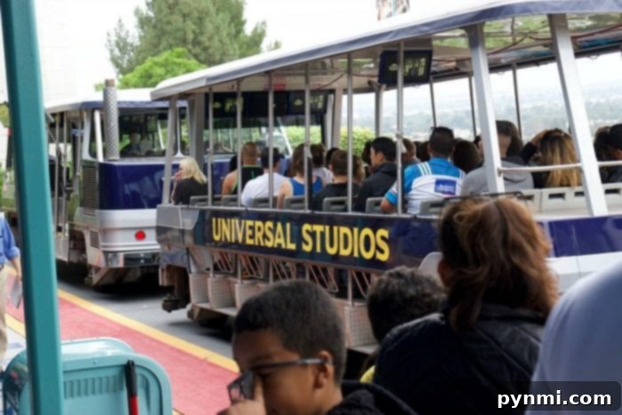 Excited visitors experiencing the magic and thrills of Universal Studios Hollywood.