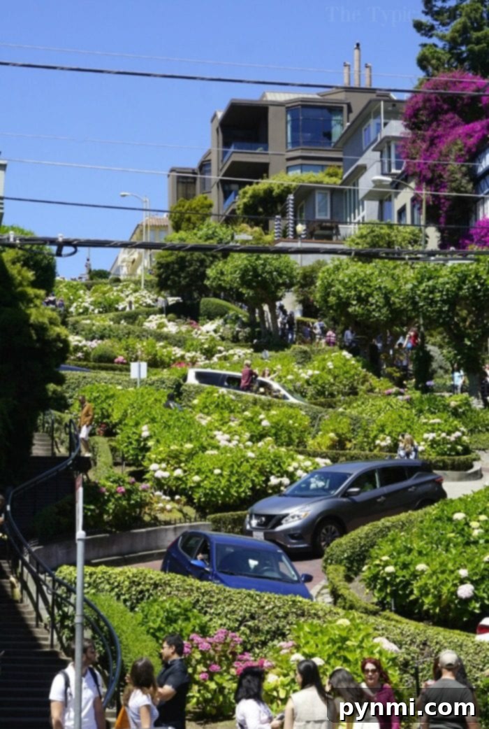 Experience the thrill of Lombard Street, the crookedest street family things to do in san francisco 2