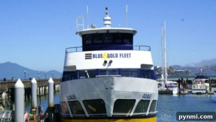 citypass san francisco savings