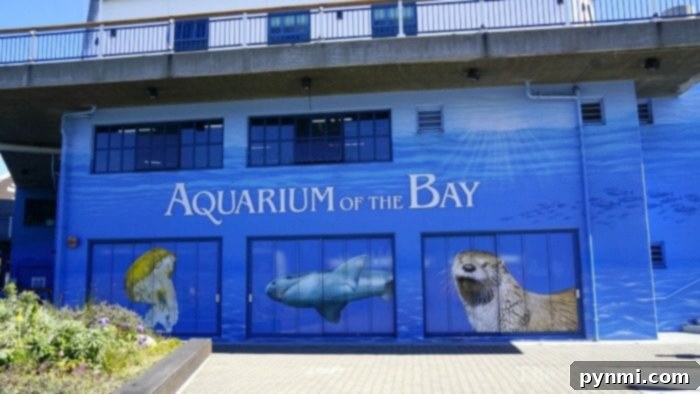 citypass san francisco discount benefits