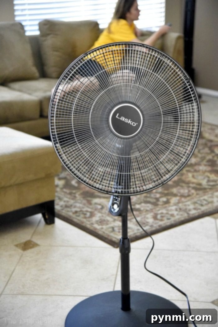 Lasko fans provide effective and affordable home cooling lasko fan review