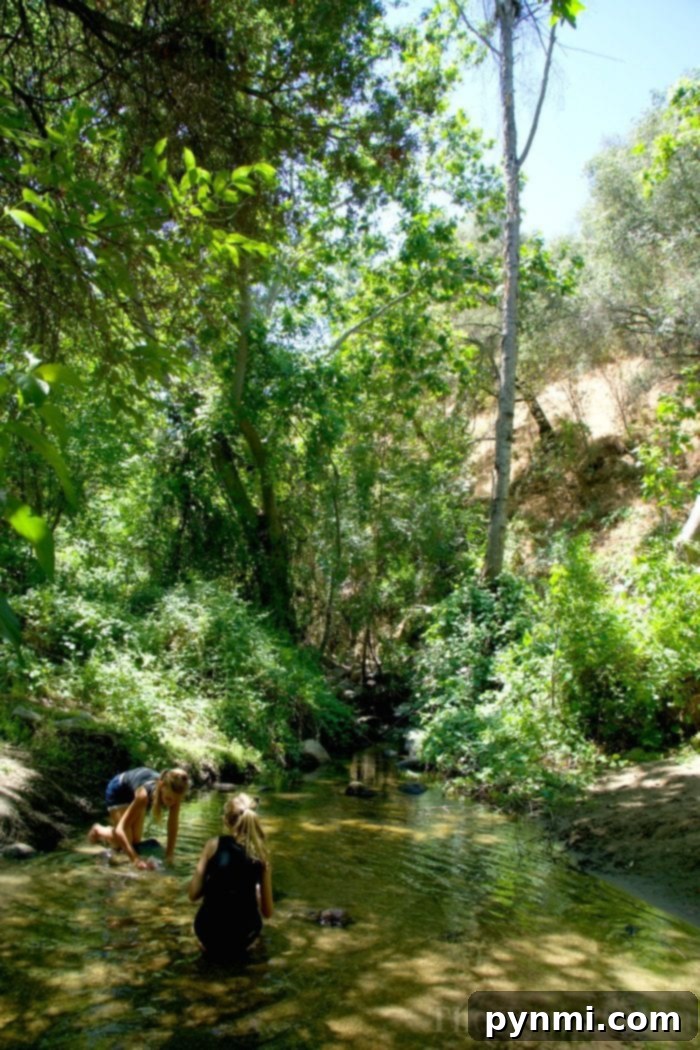 Lodging Near Sequoia National Park - Beautiful River View in Three Rivers