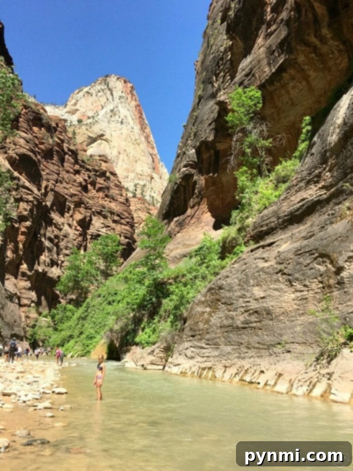 The best National Parks for kids are here, from a family who road trips year round! When you should visit and how to save money when you travel with kids. #nationalparks #bestnationalparks #kids #familytravel #travelingwithkids Family hiking in Zion National Park Utah, highlighting its beauty for kids.