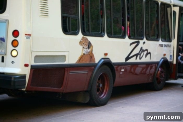 The best National Parks for kids are here, from a family who road trips year round! When you should visit and how to save money when you travel with kids. #nationalparks #bestnationalparks #kids #familytravel #travelingwithkids Family riding the tram in Zion National Park, showcasing efficient park exploration.