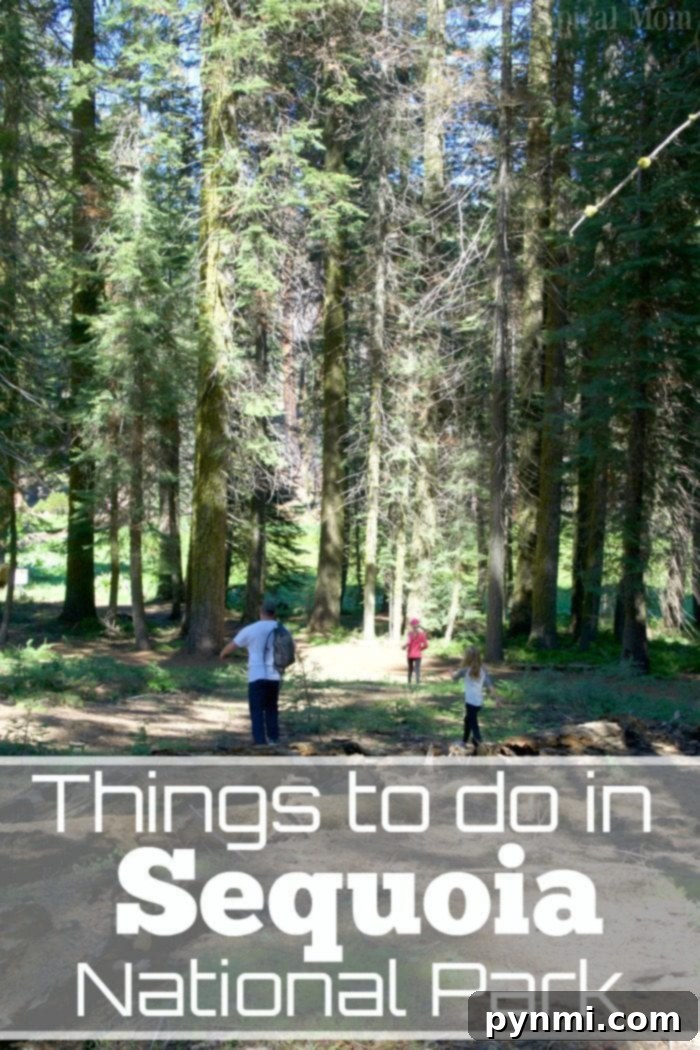 Creating lasting family memories amidst the grandeur of Sequoia National Park. #sequoia #roadtrip #california #nationalparks Family enjoying the scenic views and giant trees in Sequoia National Park
