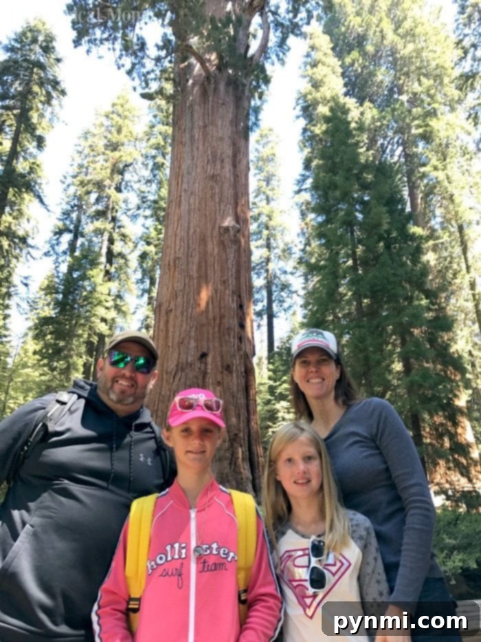 Experiencing the scale of Sequoia National Park's giant trees up close. Visitor standing next to a giant sequoia tree in Sequoia National Park