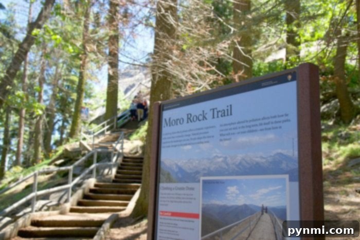 Conquering Moro Rock for incredible panoramic views of Sequoia National Park. Family climbing Moro Rock in Sequoia National Park, with views of the forest