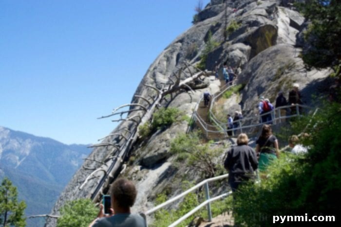 Breathtaking 360-degree vista from Moro Rock summit, showcasing the vast beauty of Sequoia National Park. View from the top of Moro Rock showing the stunning landscape of Sequoia National Park