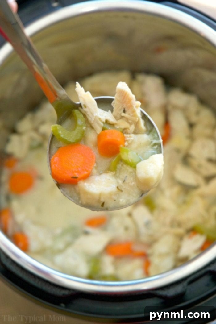 Ladle of chicken and dumplings with carrots, celery, and potatoes over an Instant Pot, showcasing one of those easy instant pot chicken recipes perfect for a cozy meal.