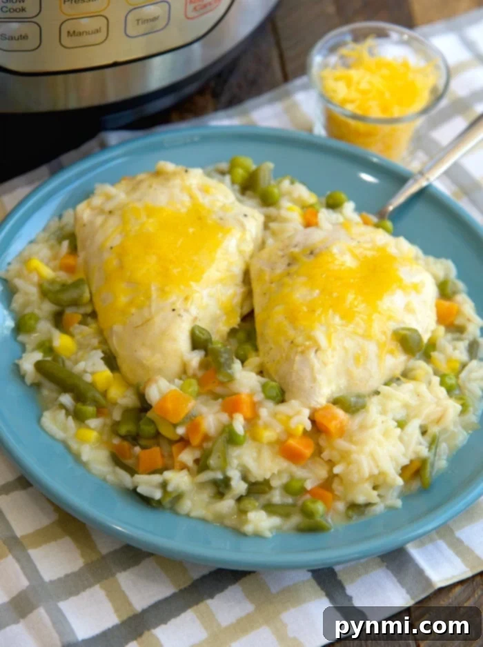 pressure cooker chicken and rice