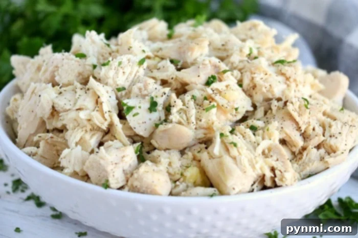 shredded chicken
