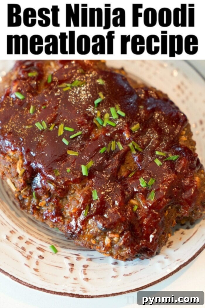 Ninja Foodi meatloaf recipe adapted for stuffed onions