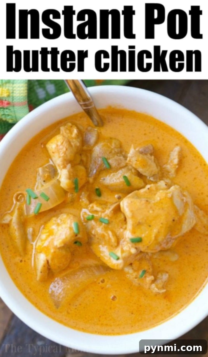 Instant Pot Butter Chicken Recipe: A Delightful Meal A top-down view of a serving of Instant Pot butter chicken recipe, garnished with fresh herbs and ready for a delicious meal.