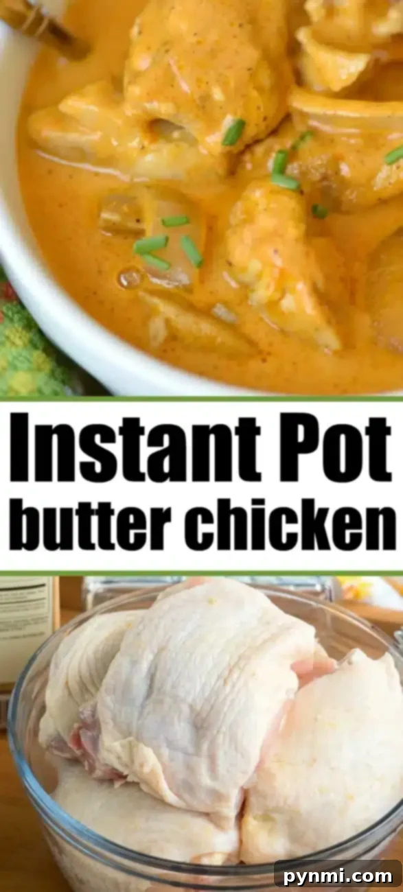 Easy Ninja Foodi Butter Chicken Recipe A delicious serving of Ninja Foodi butter chicken, garnished with fresh cilantro, ready to be enjoyed.