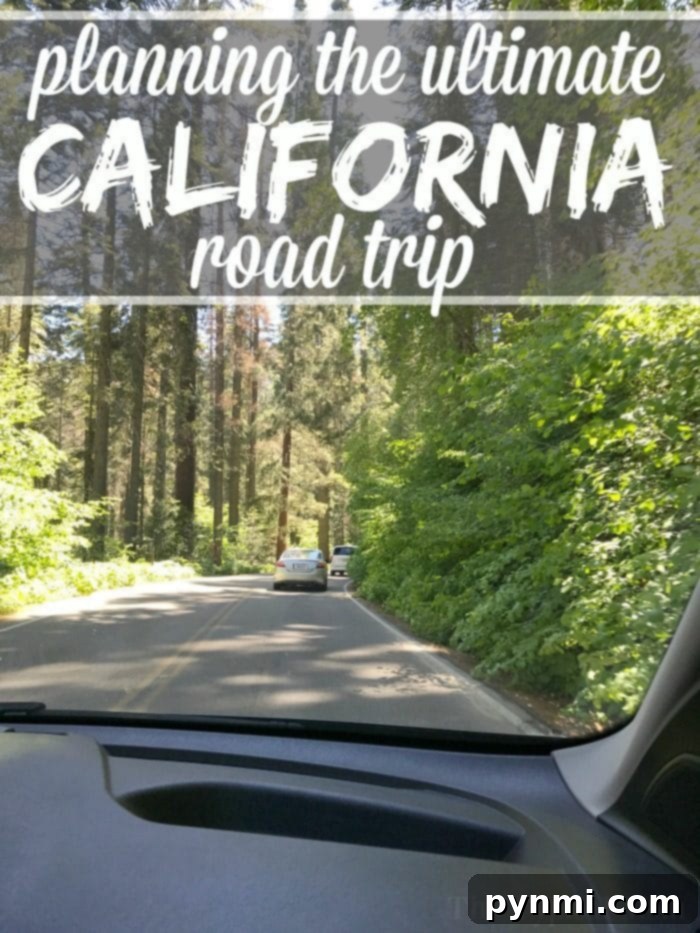 The ultimate California coast road trip! We've been everywhere and have some ideas for you to travel together as a family! Here's where to stay and what to see in California. #californiaroadtrip #roadtrip #familytravel #tips A family enjoying a scenic overlook during a California road trip, with ocean views.