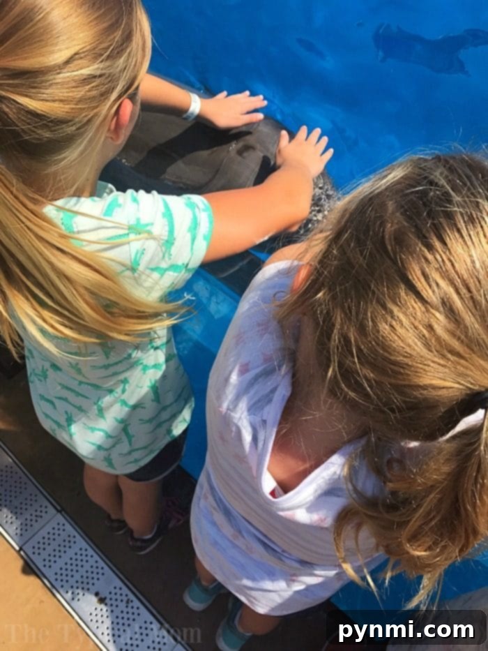 The ultimate California coast road trip! We've been everywhere and have some ideas for you to travel together as a family! Here's where to stay and what to see in California. #californiaroadtrip #roadtrip #familytravel #tips Family relaxing on a beautiful California beach at sunset, with ocean waves.